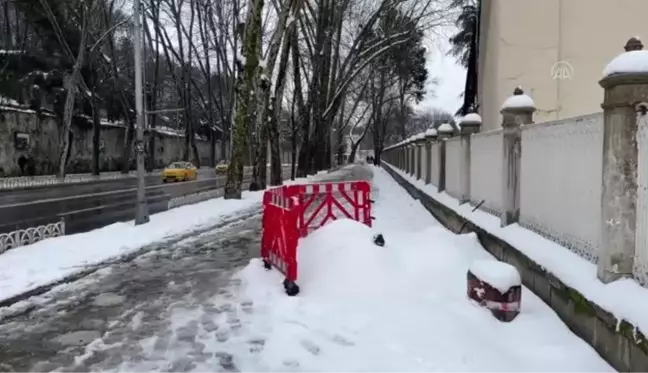 Çırağan Caddesi'ndeki çınar ağaçlarının ihmalden kuruduğu iddiası - Ağaçların kesilme anı