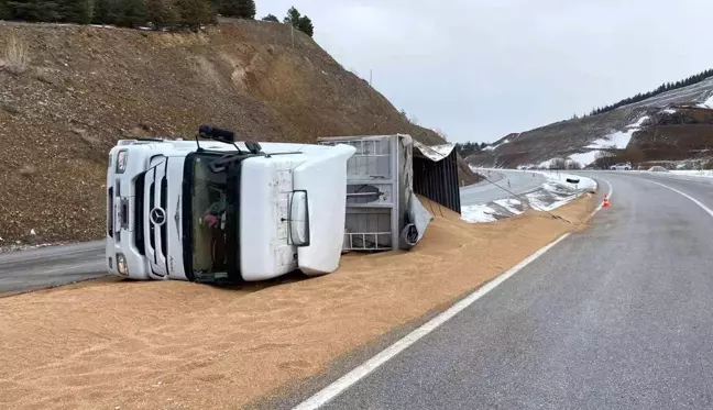 Kontrolden çıkan tır devrildi... 25 ton buğday yola saçıldı