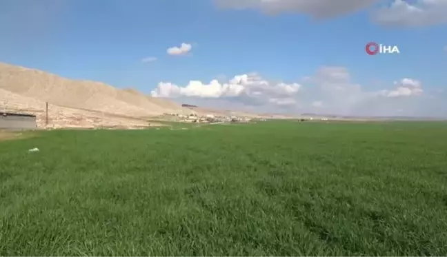 Yağışlar çiftçiye umut oldu, şimdi gözler nisan yağmurlarında