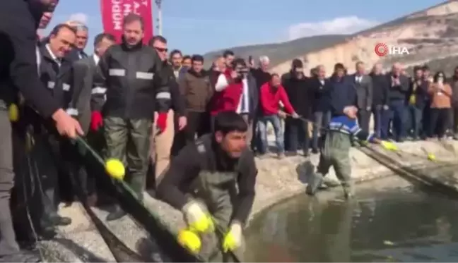 Balıkçılar ağı tarladan çekti...Tarım ve Orman Bakan Yardımcısı Özkaldı'nın katılımı ile 'Tarla Balıkçılığı hasat' töreni düzenlendi