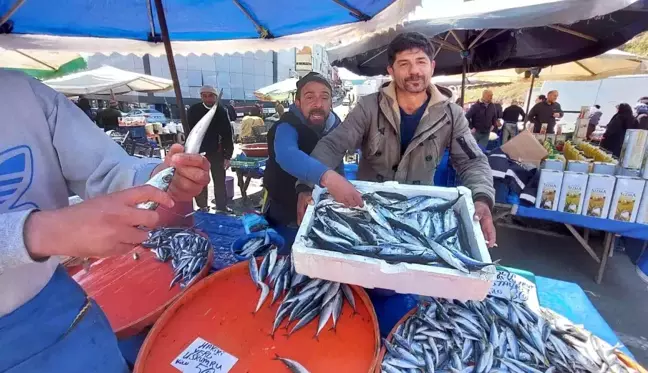 Balıkçıların müşteri kapma yarışı renkli görüntülere sahne oluyor