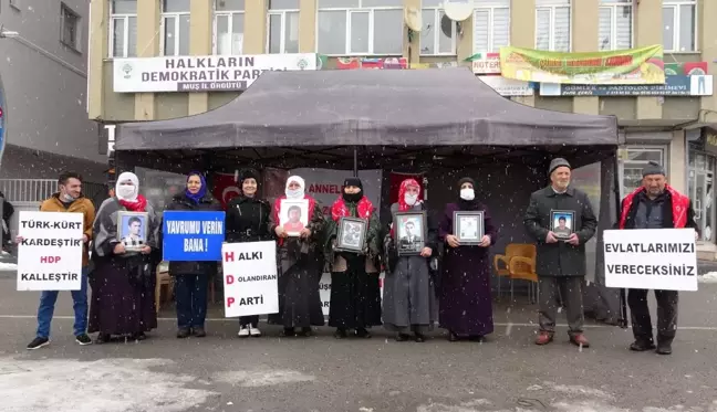 Muş'ta annelerin evlat nöbeti devam ediyor