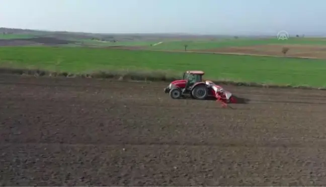 Türkiye'nin önemli ayçiçeği üretim merkezlerinden Edirne'de ekim mesaisi başladı