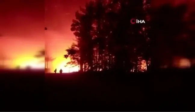 Son dakika haberleri | Şili'de orman yangını yerleşim yerlerine sıçradı