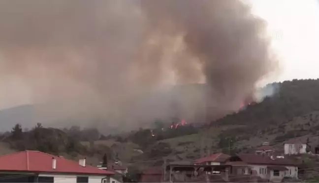 Son dakika haberleri | Orman yangını kontrol altına alınmaya çalışılıyor - Vali Kızılkaya