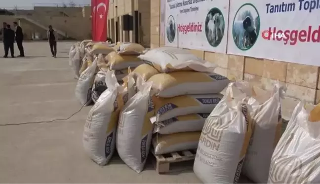 Üreticilere yüzde 90 hibe ile yem dağıtıldı