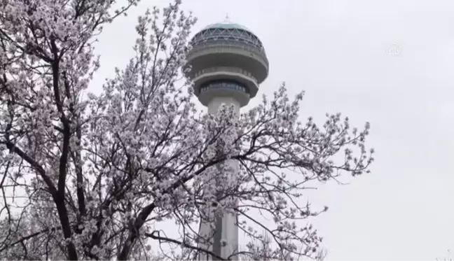 Ankara'da ilkbahar