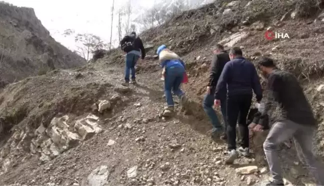 Yüksekova'da yetişen zerik ve siyah üzümün aşı kalemleri Tekirdağ'da muhafaza edilecek