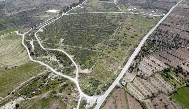 Buharkent Aydın'ın 'Jeotermal Sera' üssü olacak