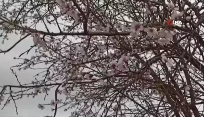 Afyonkarahisar'da yüksek kesimlere kar yağdı