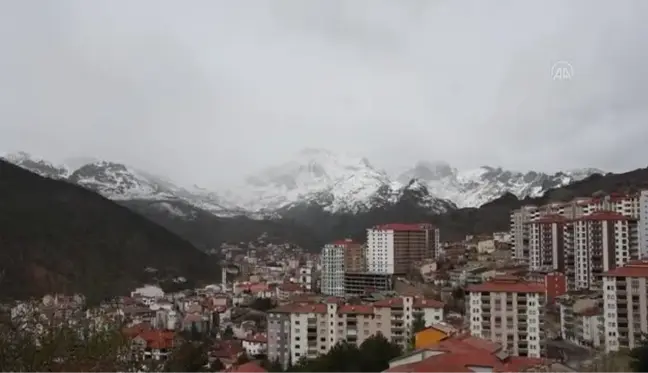 GÜMÜŞHANE - Yüksek kesimlere kar yağdı