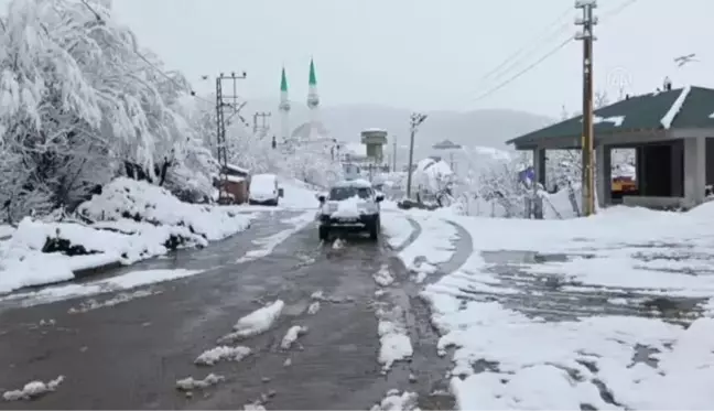 Yedisu'da kar yağışı etkili oldu