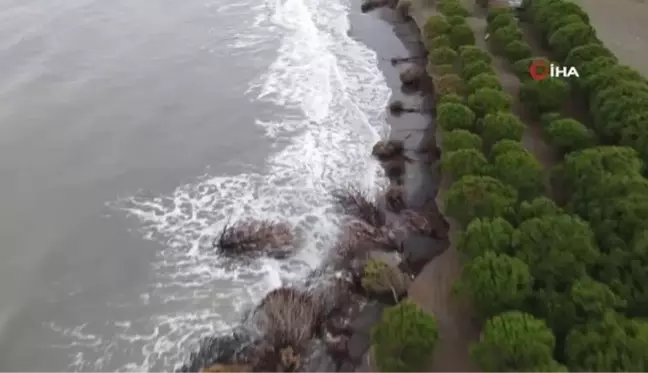 Hırçın Karadeniz 150 metre kumsalı yuttu, evler tehdit altında