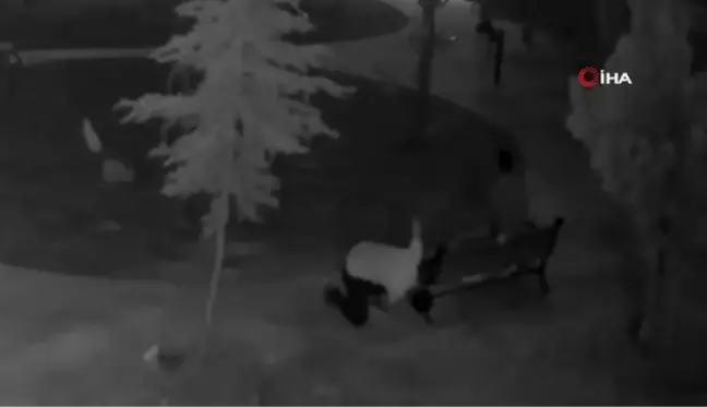 Dakikalar içerisinde bankı böyle söküp çaldılar