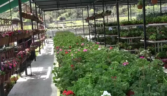 Alibeyköy Bahçe Market Sorumlusu Özok: 2-3 Haftada 156 Bin Sebze Fidesi Sattık