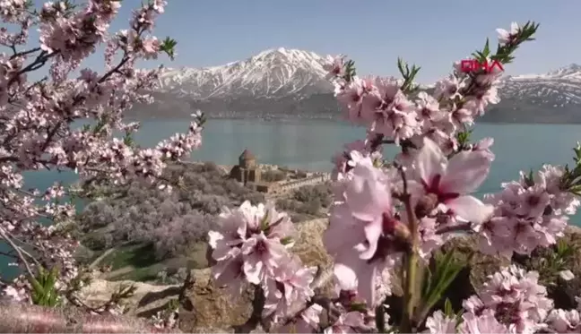 ÇİÇEKLERLE KAPLANAN AKDAMAR ADASI'NA FOTOĞRAFÇI AKINI