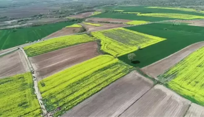 KIRKLARELİ - Trakya'nın verimli toprakları fotoğraf tutkunlarını kendine çekiyor