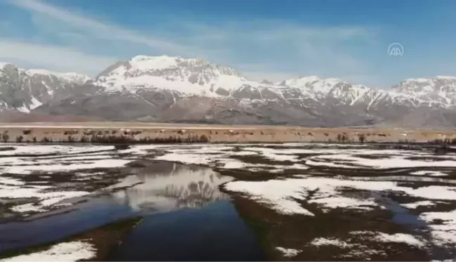 Ovacık'ta baharın tüm renk paleti tek kadrajda