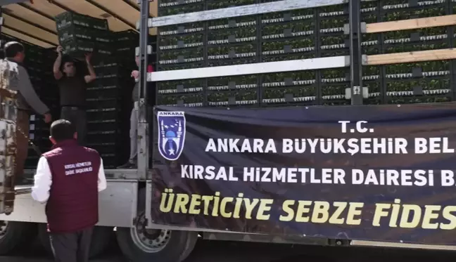 Ankara Büyükşehir'den Başkentli Üreticiye Sebze Fidesi Desteği