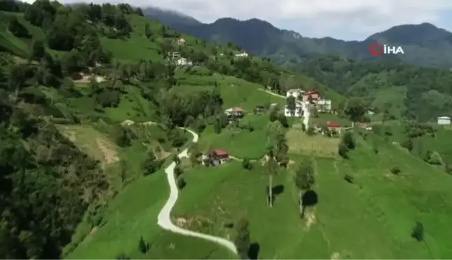 Büyük şehirlerde yaşam şartları zorlaşınca köylerine döndüler