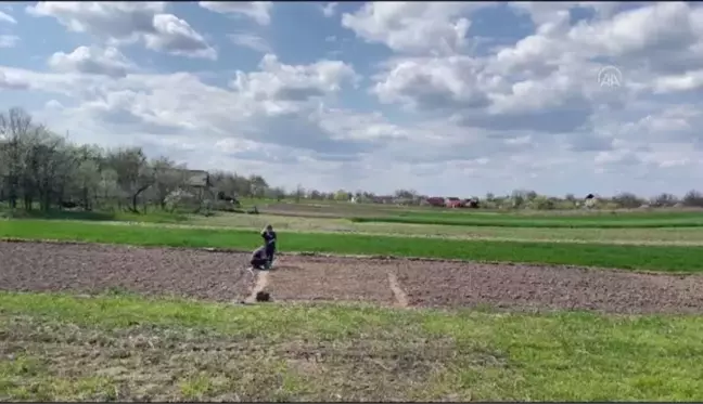 Son dakika haberi | Ukrayna'nın Lipivka köyünde Rus saldırılarının ardından mahsul ekimine başlandı