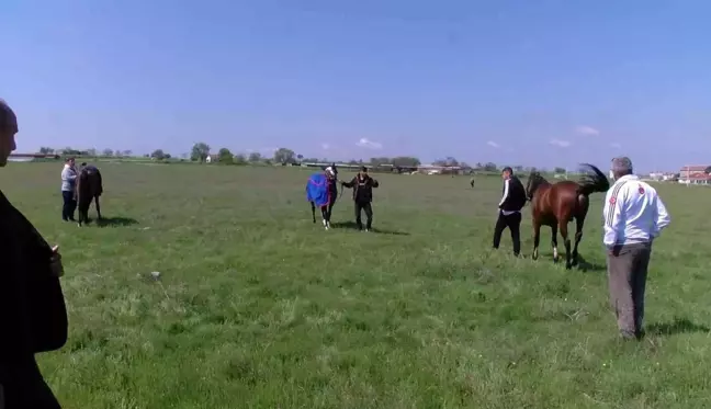 Kavasoğlu ve Şamdancıbaşı İbrahim Yağlı Güreşleri, at yarışları ile başladı