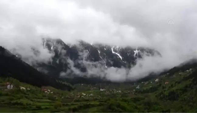 GÜMÜŞHANE - Beyaz örtüyle kaplanan Limni Gölü Tabiat Parkı ziyaretçi akınına uğradı