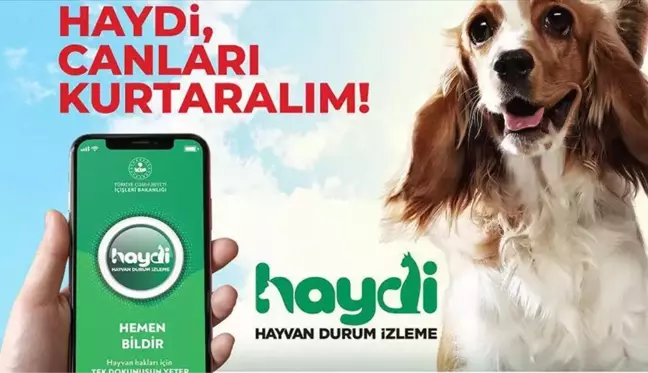 HAYDİ uygulaması nedir, nasıl çalışır? HAYDİ hayvan polisi ne iş yapar? HAYDİ uygulaması ücretli mi?