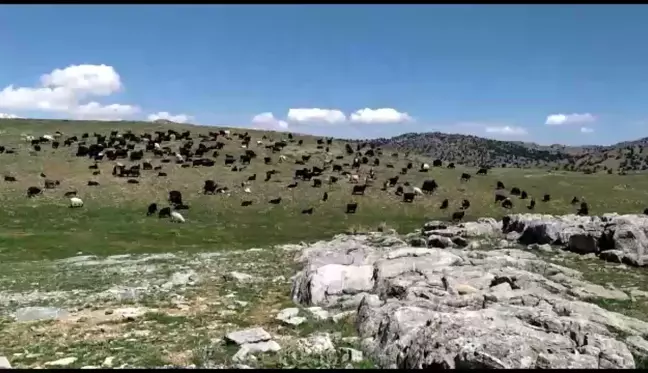 Kahramanmaraş'ta Yaylalara Göç Başladı: 