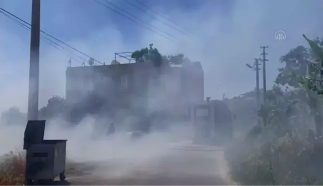 Alanya'da arazide çıkan ot yangını muz bahçelerine sıçramadan söndürüldü