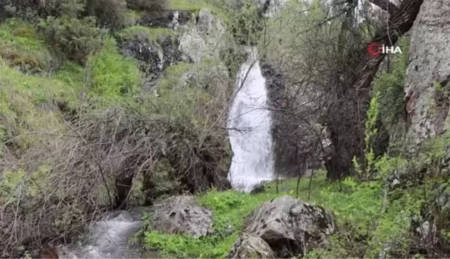 Karnavas'ta muhteşem doğa manzaraları görenleri hayran bırakıyor