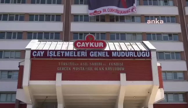 Çay Üreticileri, Rize'de: 