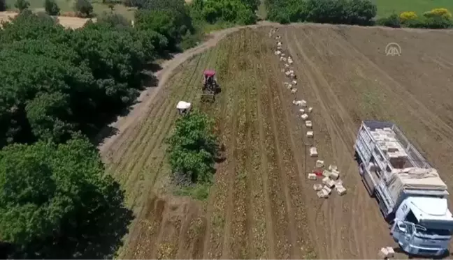 Patates tarla günü etkinliği yapıldı