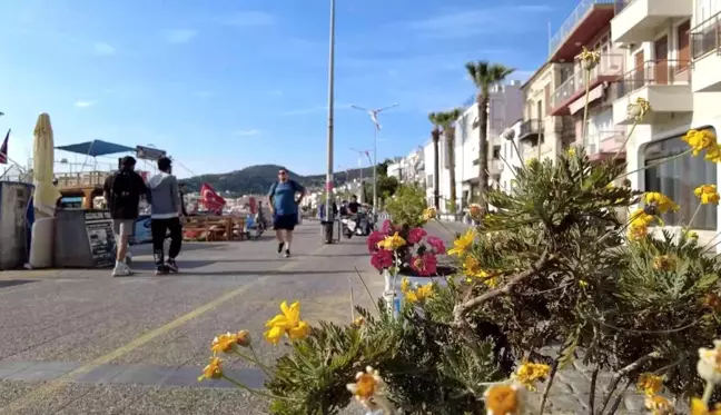 Foça yaz sezonuna hazır