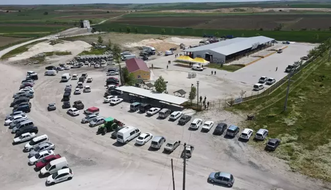 Tekirdağ'da 1. Koç Panayırı düzenlendi