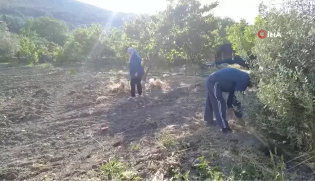 Akılalmaz olay: Renkli tapuyla kapora vurgunu... Başkasının arsasını satışa çıkararak onlarca kişiyi dolandırdı, gerçek icrayla ortaya çıktı