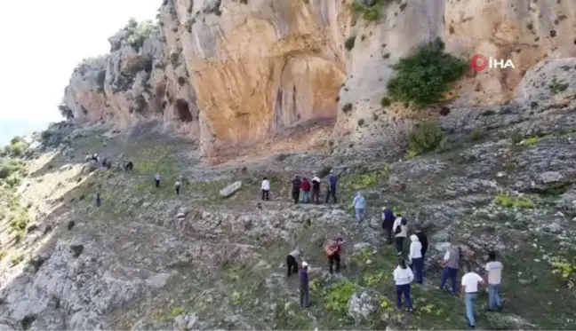 Mersin'de heyecanlandıran keşif... Çoban keçi ararken milattan önceki yazılı tasvirleri bulmuş