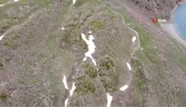 Nemrut Kalderasında geçen yıl yanan alanlar canlanmaya başladı