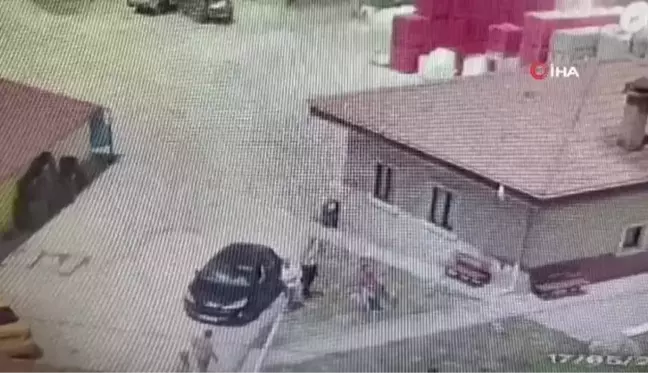 Sokak köpeğini besleyen kadını böyle darp ettiler