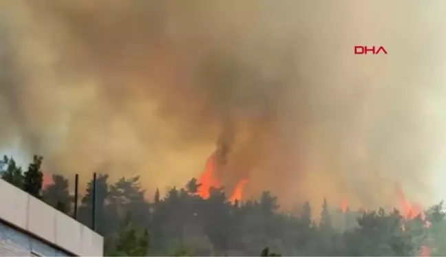 BELEN'DE KORKUTAN ORMAN YANGINI