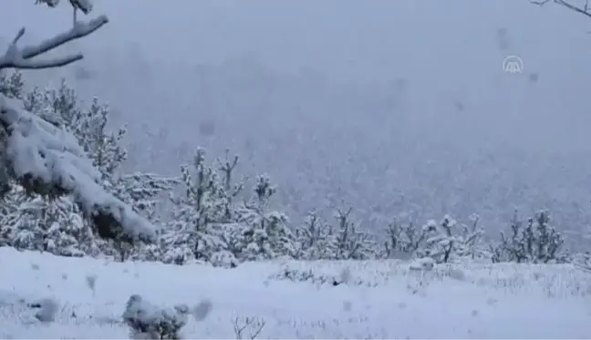 Etkili olan kar, kışı aratmadı (2)