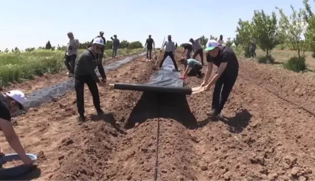 Geleceğin ziraat mühendisleri uygulama bahçelerinde yetişiyor