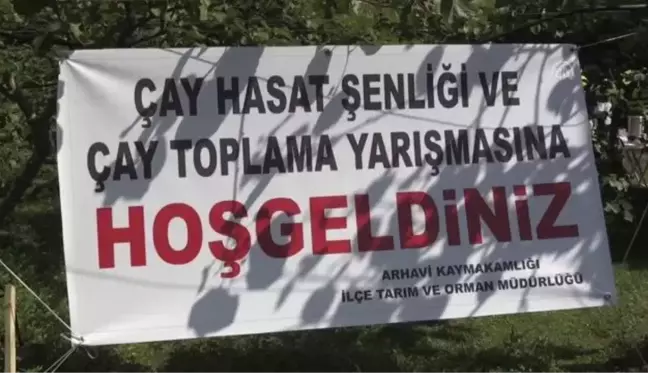 Çay Hasat Şenliği ve Okullar Arası Çay Toplama Yarışması düzenlendi