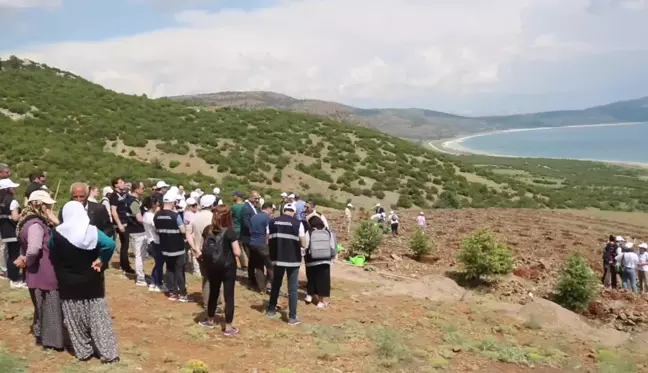 Salda Gölü Üzerindeki Araziye 300 Adet Köknar ve Ardıç Fidanı Dikildi