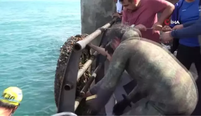 Üsküdar'da denizde ve karada çevre temizliği