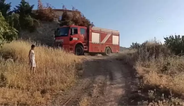 KAHRAMANMARAŞ - Aracın motor bölümüne sıkışan kedi yavrusunu itfaiye kurtardı