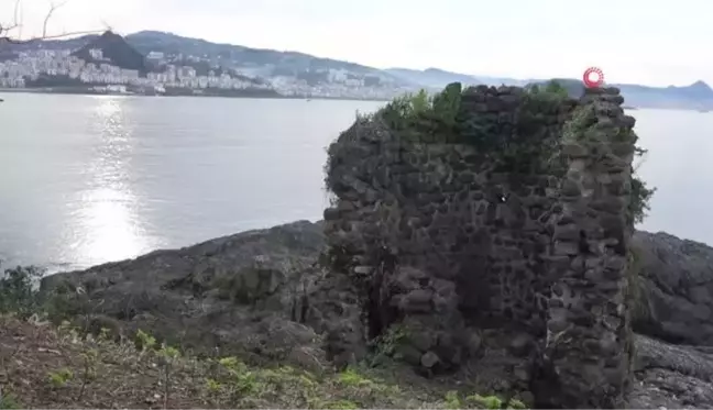 Giresun Adası'ndaki buluntular müzede sergilenmeye başlandı