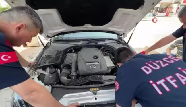 Düzce'de kedi kurtarma operasyonu