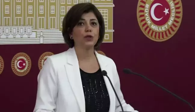 Meral Danış Beştaş: Gazeteciler Meslek Dolayısıyla Gözaltında