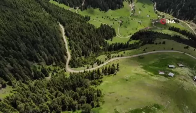 Gümüşhane'de yayla göçü başladı